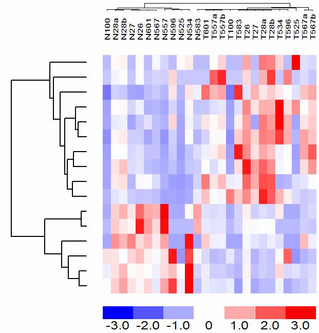 Clustering of mirna expression patterns 37 37 Normal tissue Tumor tissue mir-1 mir-2