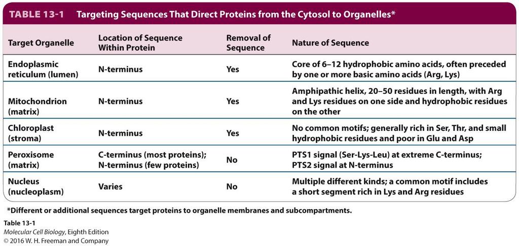 Targeting Sequences That Direct Proteins from the Cytosol to Organelles Organelle targeting