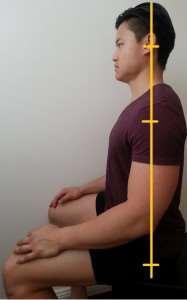 IDEAL SITTING POSTURE The ideal sitting posture can be illustrated as a