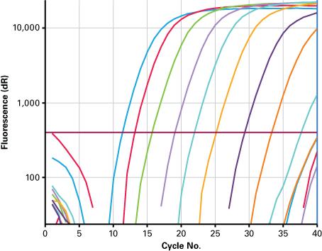 Retro-X qrt-pcr Titration Kit User Manual Figure 2. Using the Retro-X RNA Control Template to generate a standard curve. Panel A.