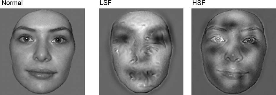 316 V. Goffaux et al. / Cognitive Science 27 (2003) 313 325 Fig. 1. Example of the face stimuli used in the experiment.