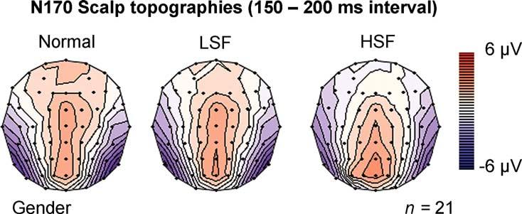 320 V. Goffaux et al. / Cognitive Science 27 (2003) 313 325 Fig. 4. Scalp topography of grand-average ERPs (n = 21) recorded during 150 200-ms time interval for Normal, LSF and HSF faces in Gender.