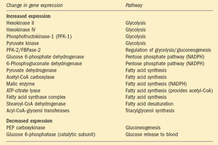 Some of genes regulated by insulin Nelson & Cox,