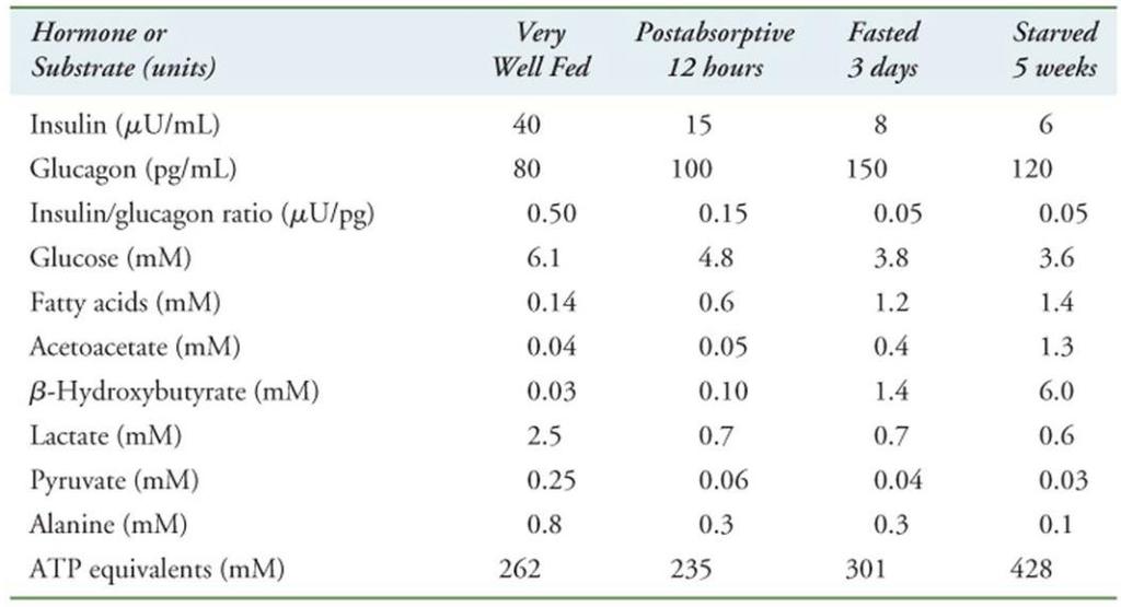Substrate and hormone level in blood of well-fed, fasting, and starving human Textbook of