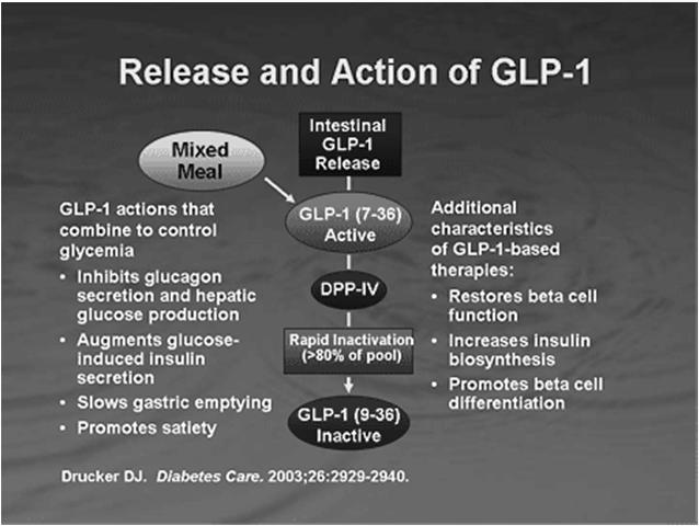 (T2DM) But our diet does not contain glucose! ENTEROINSULAR AXIS!