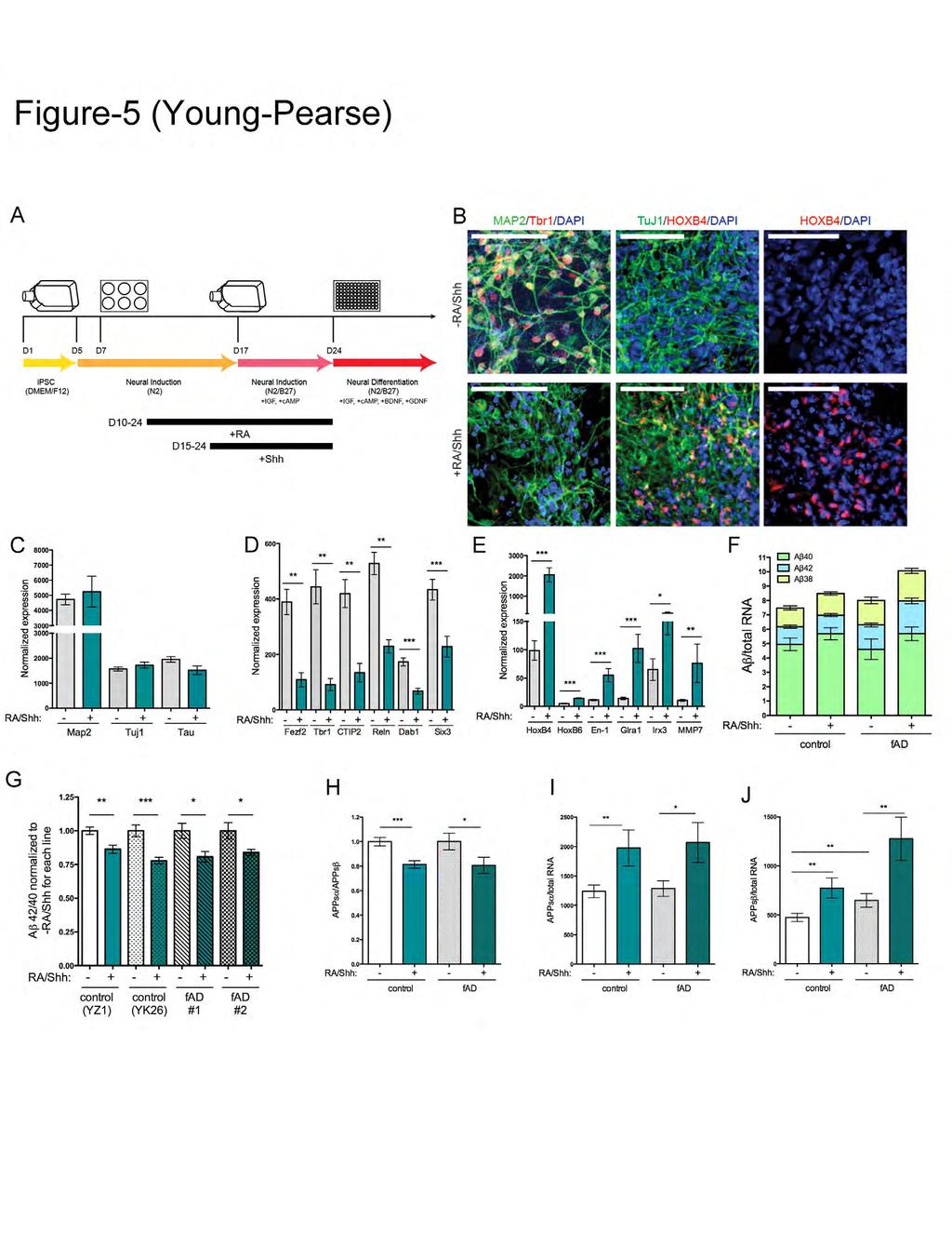 ipscs directed to caudal neuronal fates show altered expression profiles Normalized expression 8000 7000 6000 5000 4000 3000 3000 2000 1000 Normalized expression 600 400 200 ** ** ** ** Normalized