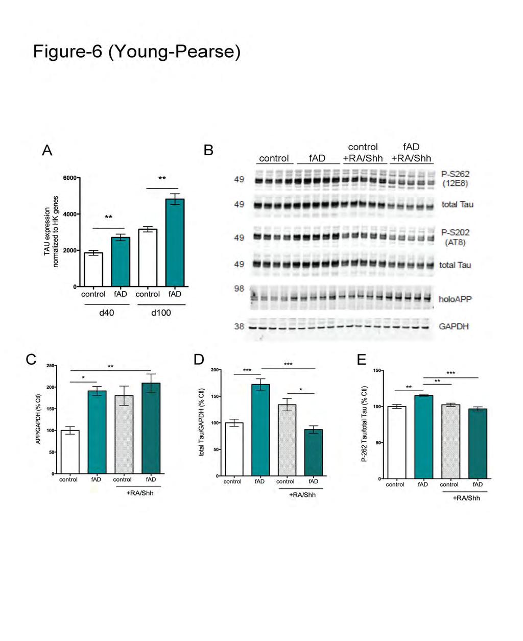 ipscs directed to a caudal neuronal fate secrete a less toxic ratio of Aβ42/40 Aβ/total RNA RA/Shh: 11 Aβ40 10 Aβ42 Aβ38 9 8 7 6 5 4 3 2 1 0 - + - + control fad Aβ 42/40 normalized to -RA/Shh for