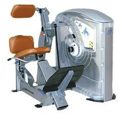 Low Back Our fourth exercise is the Nautilus Low Back machine, which essentially isolates the trunk extensor muscles.