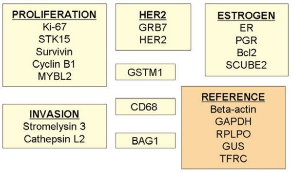 (Ki67+STK15+Survivin+CCNB1+MYBL2)/5 Breast Cancer Res.
