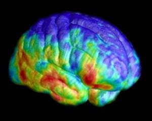 children from age 10 to 20 years to assess effects of drugs on individual brain