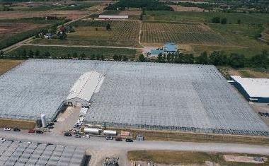 world-class licensed facilities, indoor and greenhouse production, combined 743,000 sq. ft.