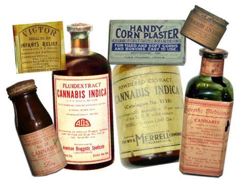 A Brief History of Cannabis The cannabis plant was cultivated for fibers since 4000 BC Medical use of the plant dates back to 2900 BC (China) Introduced to western medicine by Dr.