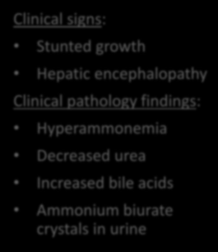 substances to the liver hepatic atrophy No portal hypertension or ascites (unlike portal vein hypoplasia/microvascular