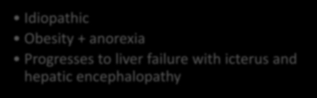 Fatty Liver (Hepatic Lipidosis)
