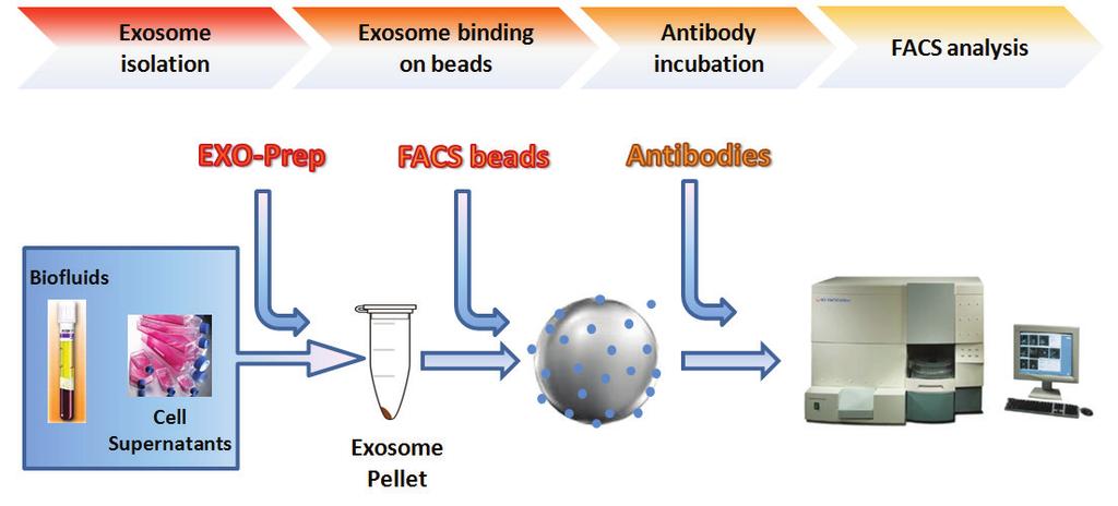 Applications Exosome isolation and exosome marker characterization via FACS. Comprehensive exosome profiling.