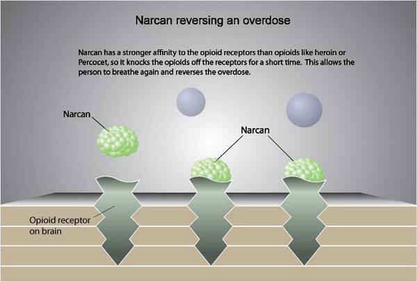How NARCAN Works NARCAN