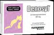 two formulations Supported by clinical research Denosyl Chewable Tablets Tasty