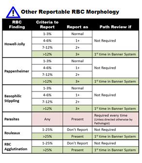 NSAP: Nonspecific RBC  Review RBC indices.