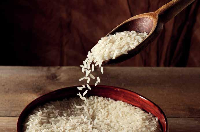 RICE FORTIFICATION IN LATIN AMERICA INTRODUCTION TO RICE FORTIFICATION 141 by Wenger Extruded fortified rice additional information on specific micronutrient needs across the lifecycle, please refer