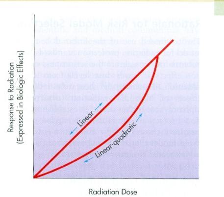 Dose-Response Relationships Linear quadratic Curve is linear or proportional at low dose levels and becomes curvilinear at high doses May underestimate low dose effects No threshold Quadratic