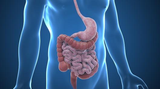 What Are Gastrointestinal (GI) Cancers Group of cancers that affect the digestive system Includes the following