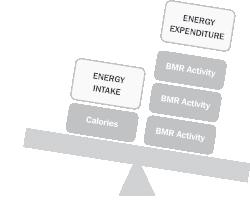 If energy intake is greater than energy expenditure, this describes a