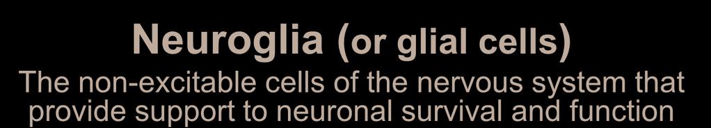 Cells of the nervous system Neuroglia (or glial cells) The non-excitable cells