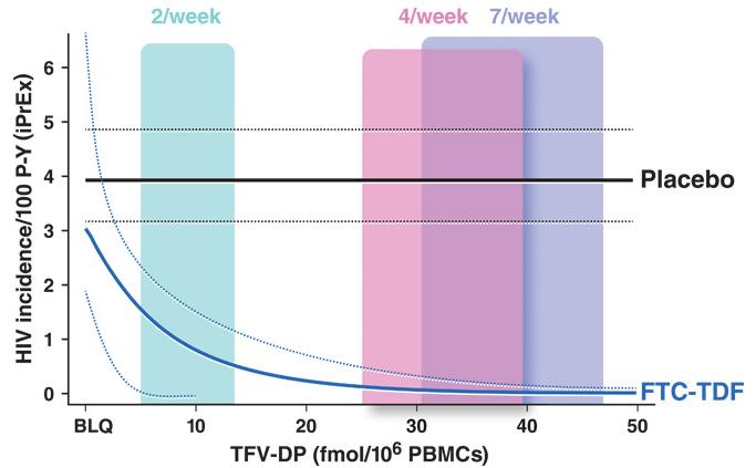 Dosing matters Using drug concentrations in iprex and STRAND, pharmacokinetic models predict 76% risk reduction with 2 doses/week, 96% with 4 doses/week, and 99% with 7 doses/week.