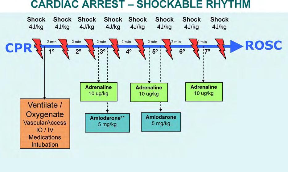 277 279 The most common ECG patterns in infants, children and adolescents with cardiopulmonary arrest are asystole and PEA.