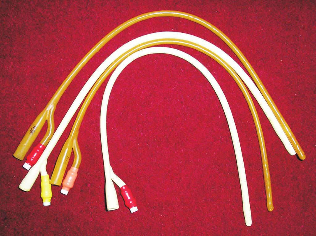Chapter 9 292 Figure 9.6 Optical photograph of Foley catheters made from natural rubber latex-layered silicate nanocomposite 9.4 References 1. E. K. Abraham, P.