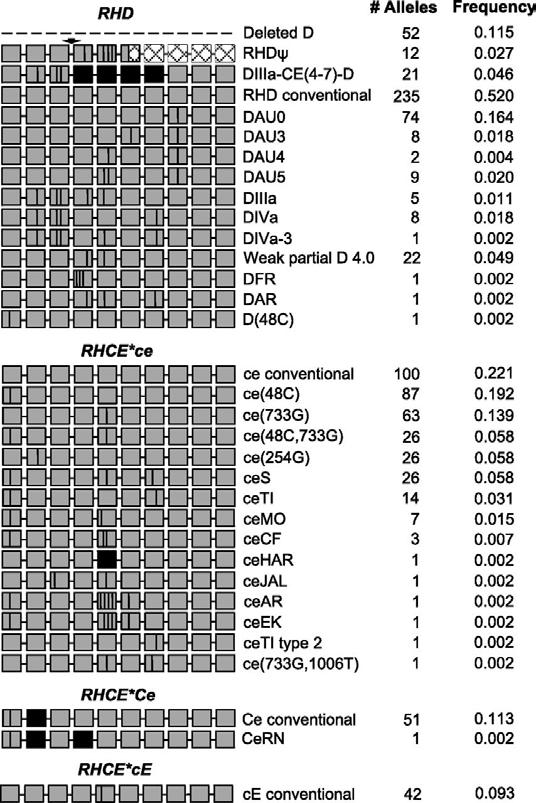 RHD and RHCE diversity in 226 patients with SCD. RH alleles identified in patients with SCD.