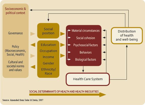 The Relationship Between Social Determinants of Health and Health Disparities Figure 2.