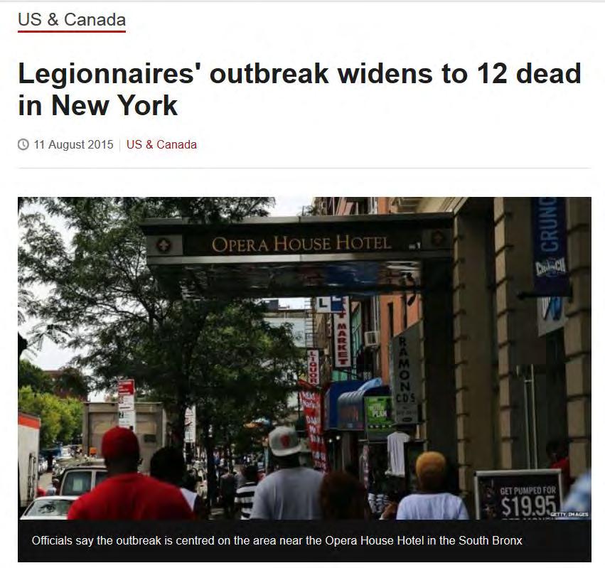 12 dead in New York