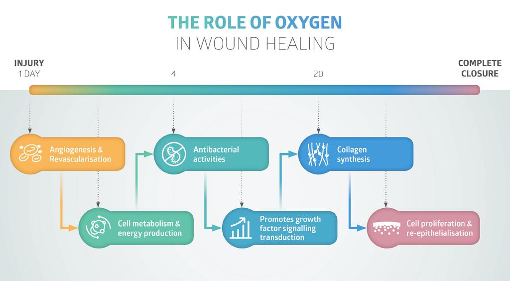THE ROLE OF OXYGEN Oxygen is critical to wound healing (Wounds UK, 2017).