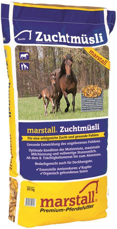 Our recommendation marstall Zuchtmüsli for brood mares and stallions!