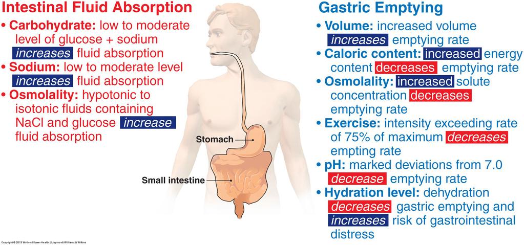 5. Hydration During Competition & Exercise a) Factors Affecting Fig. 8.