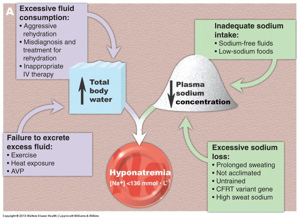 6. Hyponatremia Fig 10.10A: Factors that contribute to the development of hyponatremia.