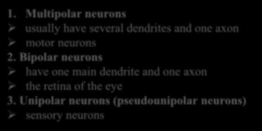 1. Multipolar neurons usually have several dendrites and one axon motor neurons 2.