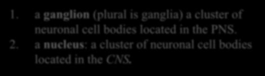 Clusters of Neuronal Cell