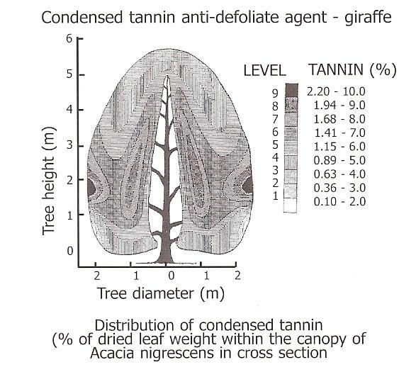 Research in moose from North America and Scandinavia has proven that even in the same species, there is a marked difference in the binding of tannins in saliva.