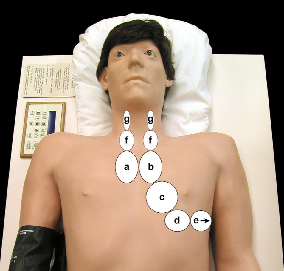 CARDIAC AUSCULTATION The final step in the physical examination is auscultation.