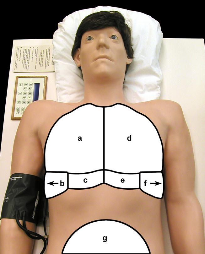 f. PULMONARY AUSCULTATION Pulmonary auscultation is also an important step in the physical examination.