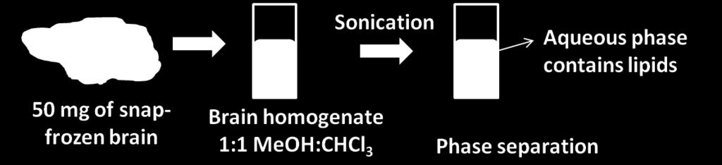A 50 mg sample of complete cryo-fixed mouse brain (previously stored at -80 C) was homogenised in a mortar with an ice-cold 1:1 solution of MeOH:CHCl 3 (v/v).