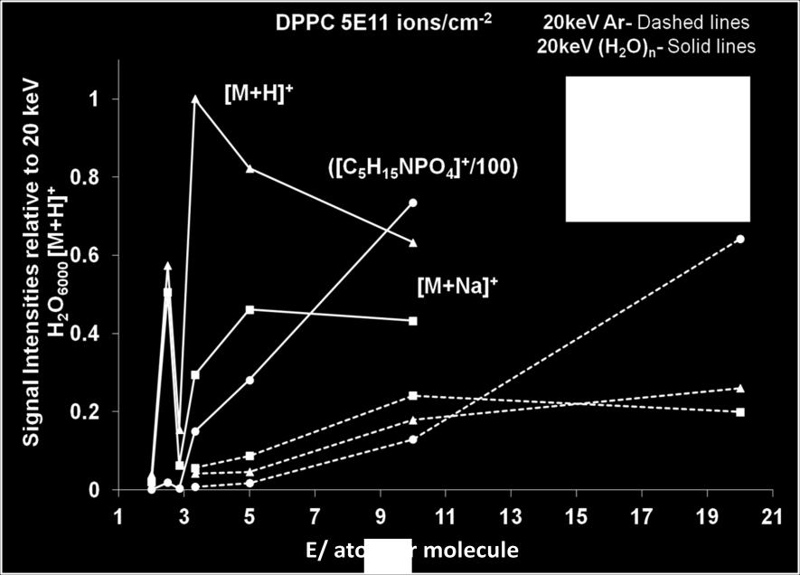 Figure 5.9: Secondary ion signal from DPPC with a total primary ion dose of 5 x 10 11 ions cm -2 and 1.5 x 10 13 ions cm -2.