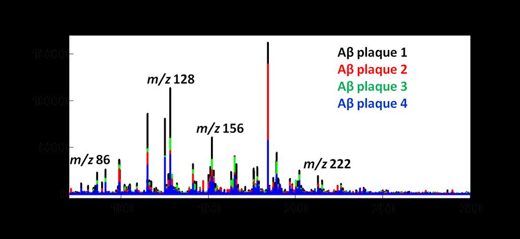 The overlaid spectra from these regions are displayed in Figure 7.11. Figure 7.11: Overlaid spectra obtained from four different ROIs with Aβ plaques.