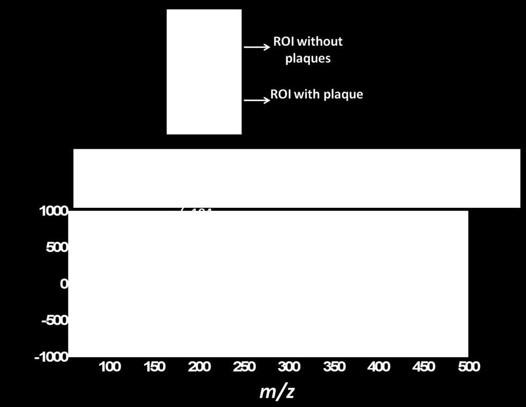 3 to the dipeptide arginine-histadine (all ion peaks observed are listed in Table 7.1). Figure 7.