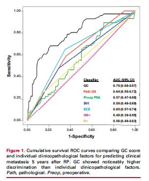 GC score separated by low (<0.4), intermediate (0.4-0.6) and high (>0.6) Development of metastasis 5 years after RP was 2.4%, 6% and 22.