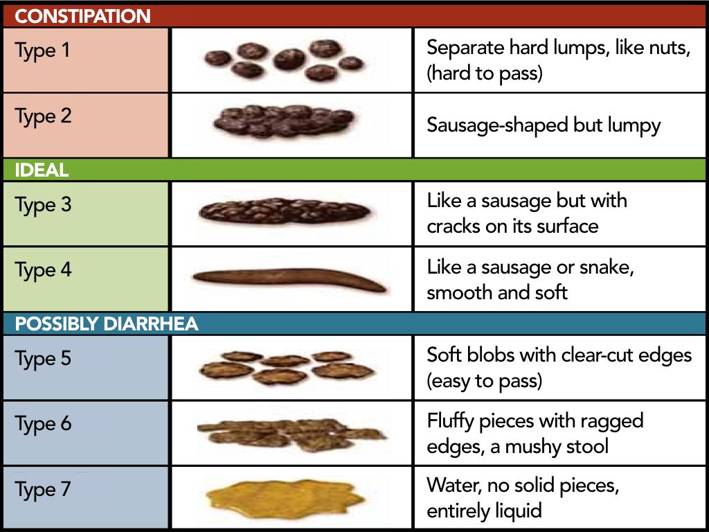 The Bristol Stool Scale: An index of colonic transit time Lewis SJ, Heaton KW. Stool form scale as a useful guide to intestinal transit time. Scand J Gastroenterol. 1997;32:920-4.