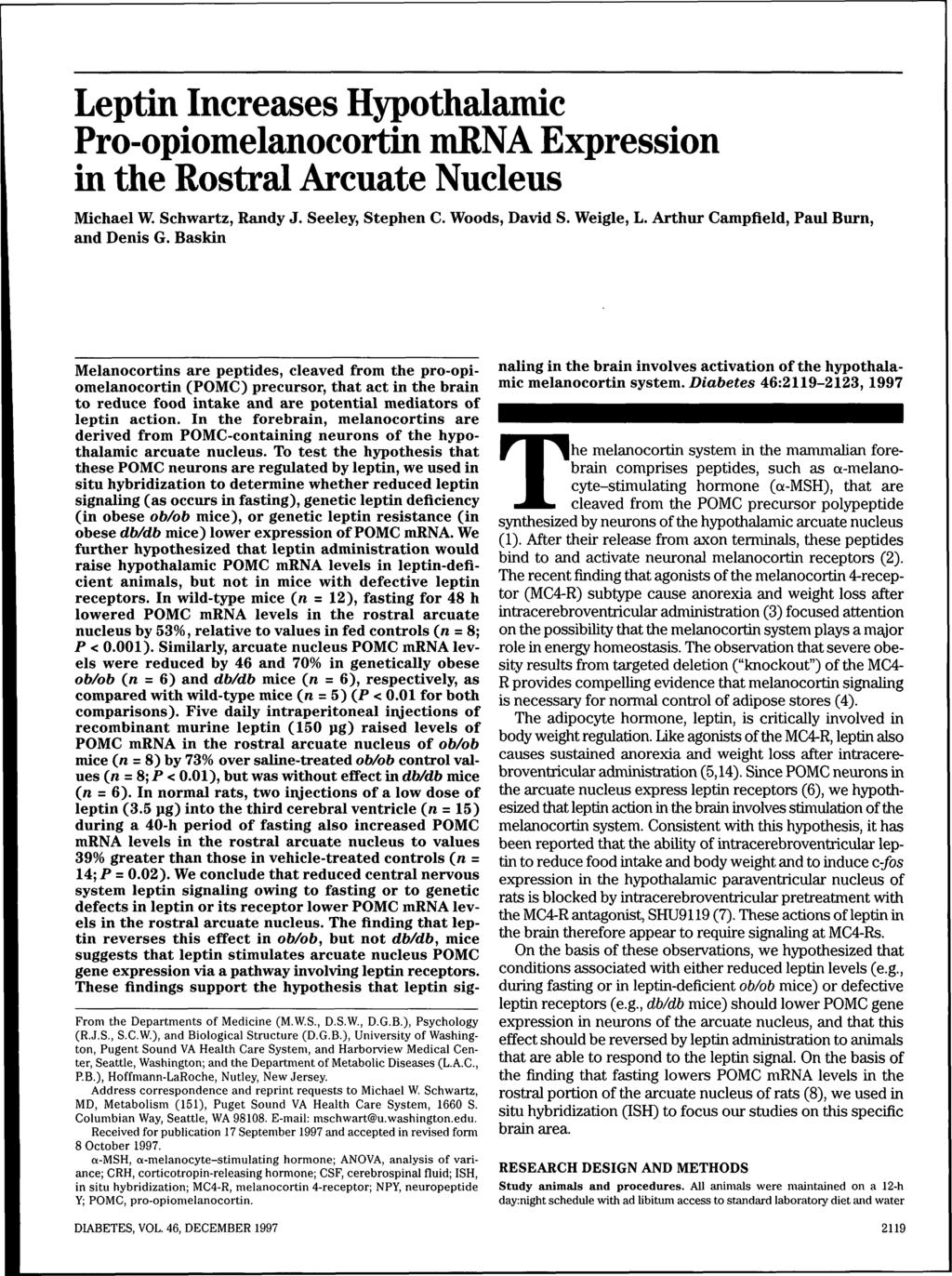 Leptin Increases Hypothalamic Pro-opiomelanocortin mrna Expression in the Rostral Arcuate Nucleus Michael W. Schwartz, Randy J. Seeley, Stephen C. Woods, David S. Weigle, L.