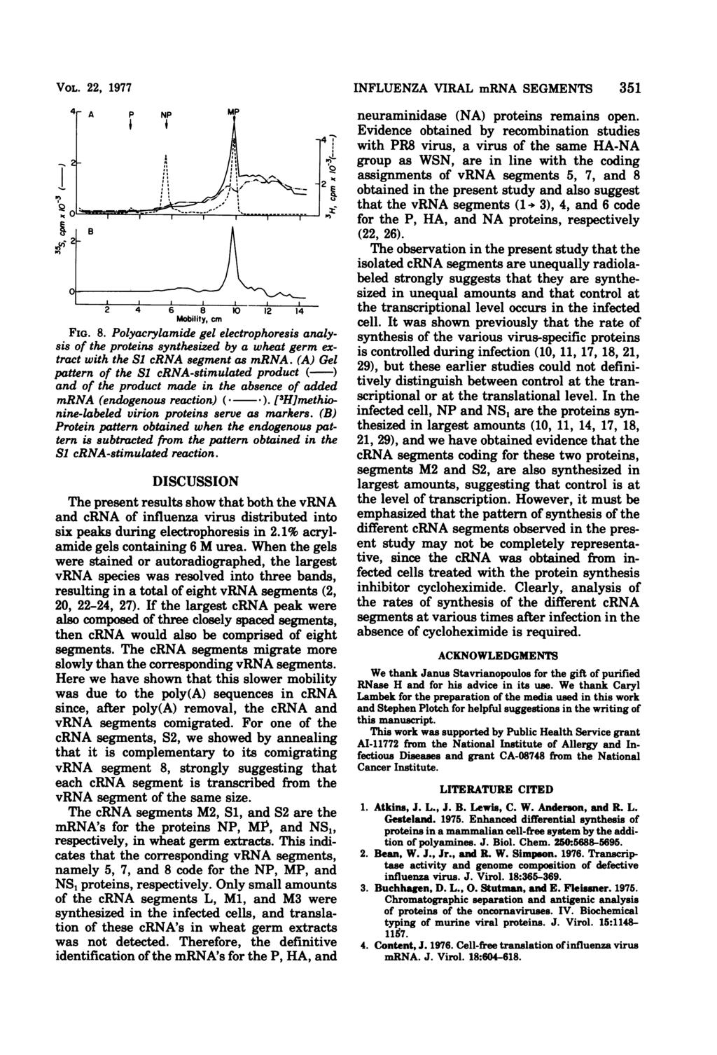 VOL. 22, 1977 4I- A P NP MP I I-C.. 11~~~~~~~~1 o ~ ~~~~~ III 8--- - 1-2 3. 2 4 6 8 10 12 14 FIG. 8. Polyacrylamide gel electrophoresis analysis of the proteins synthesized by a wheat germ extract with the SI crna segment as mrna.